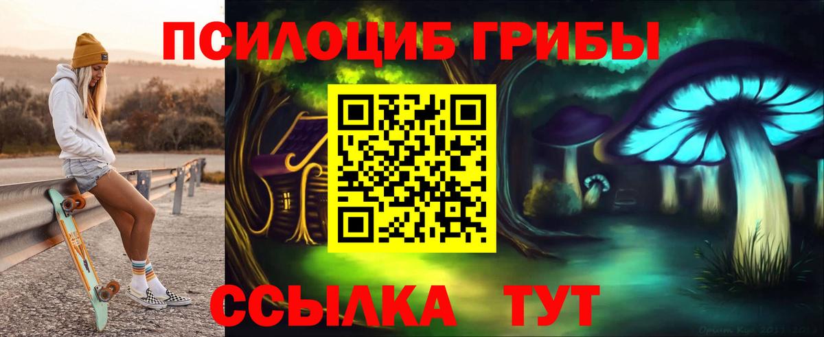 Альфа ПВП Сыктывкар