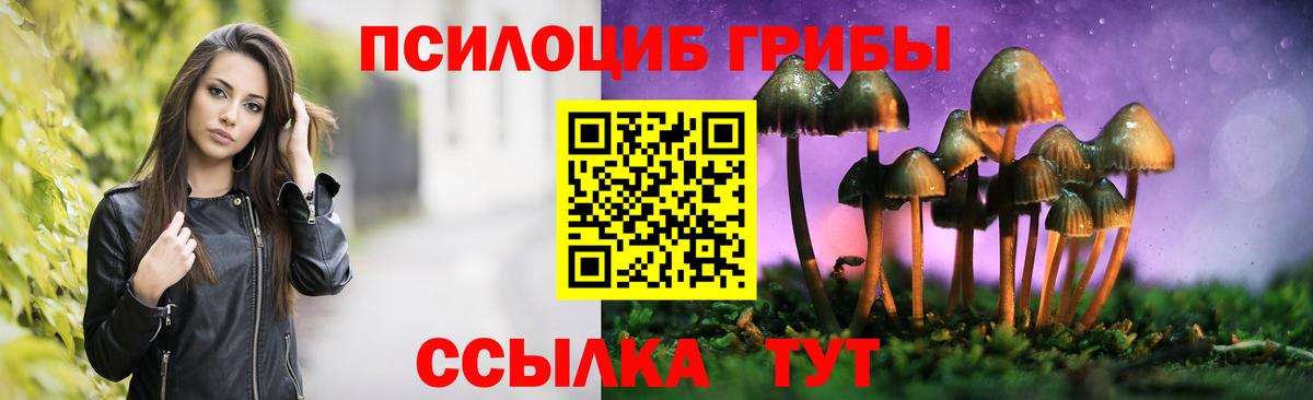 Галлюциногенные грибы GOLDEN TEACHER  Вход с VPN  Сыктывкар  Галлюциногенные грибы мицелий 
